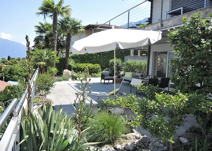 Siesta By Fewotessin *