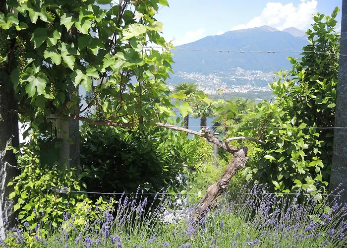 Apartamento Siesta By Fewotessin Gambarogno