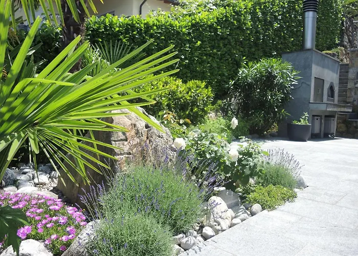 Siesta By Fewotessin *